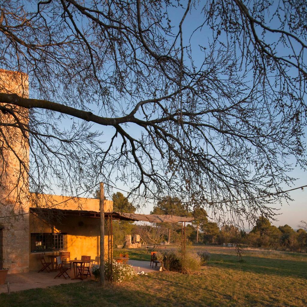 B&B Mas Coquells Habitacion Genover Vilanant Exterior foto